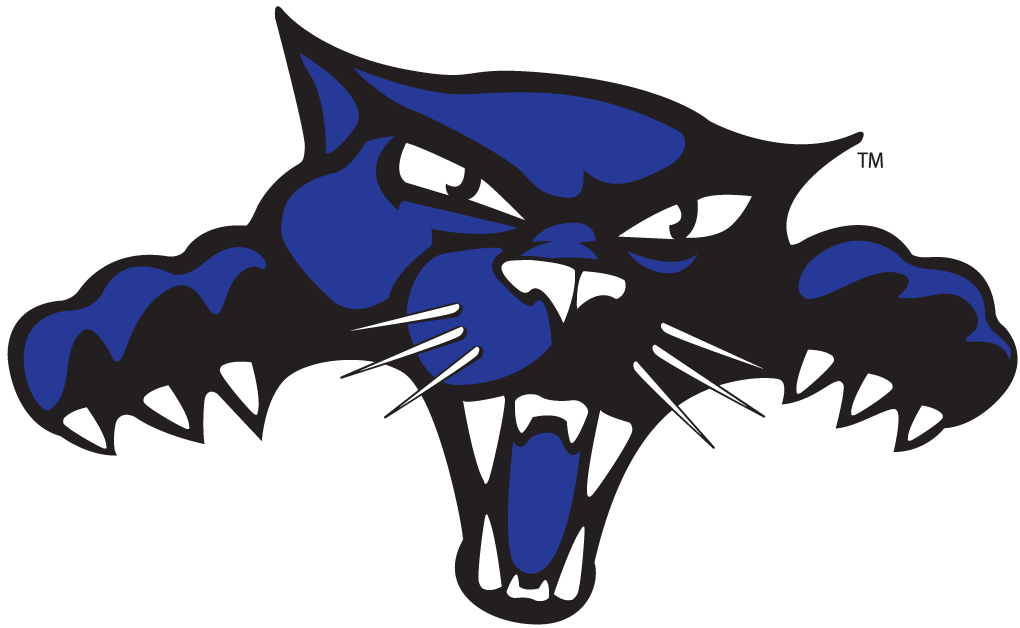 High Point Panthers 2004-Pres Alternate Logo diy iron on heat transfer